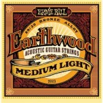 ernie ball earthwood 2003 ernie ball earthwood 2003