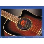 Kyser Lifeguard Steel String Guitar Humidifier